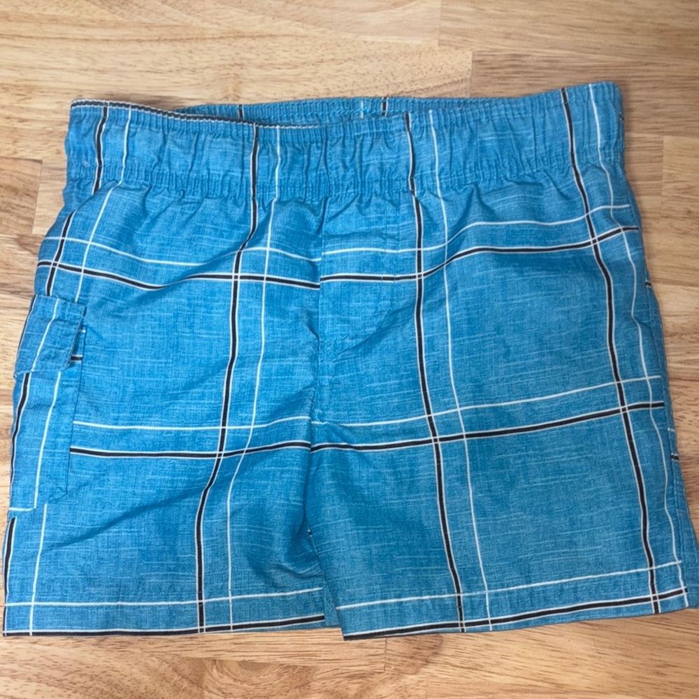 Blue Boys Swim Shorts by Monkey Bars (2-3)
